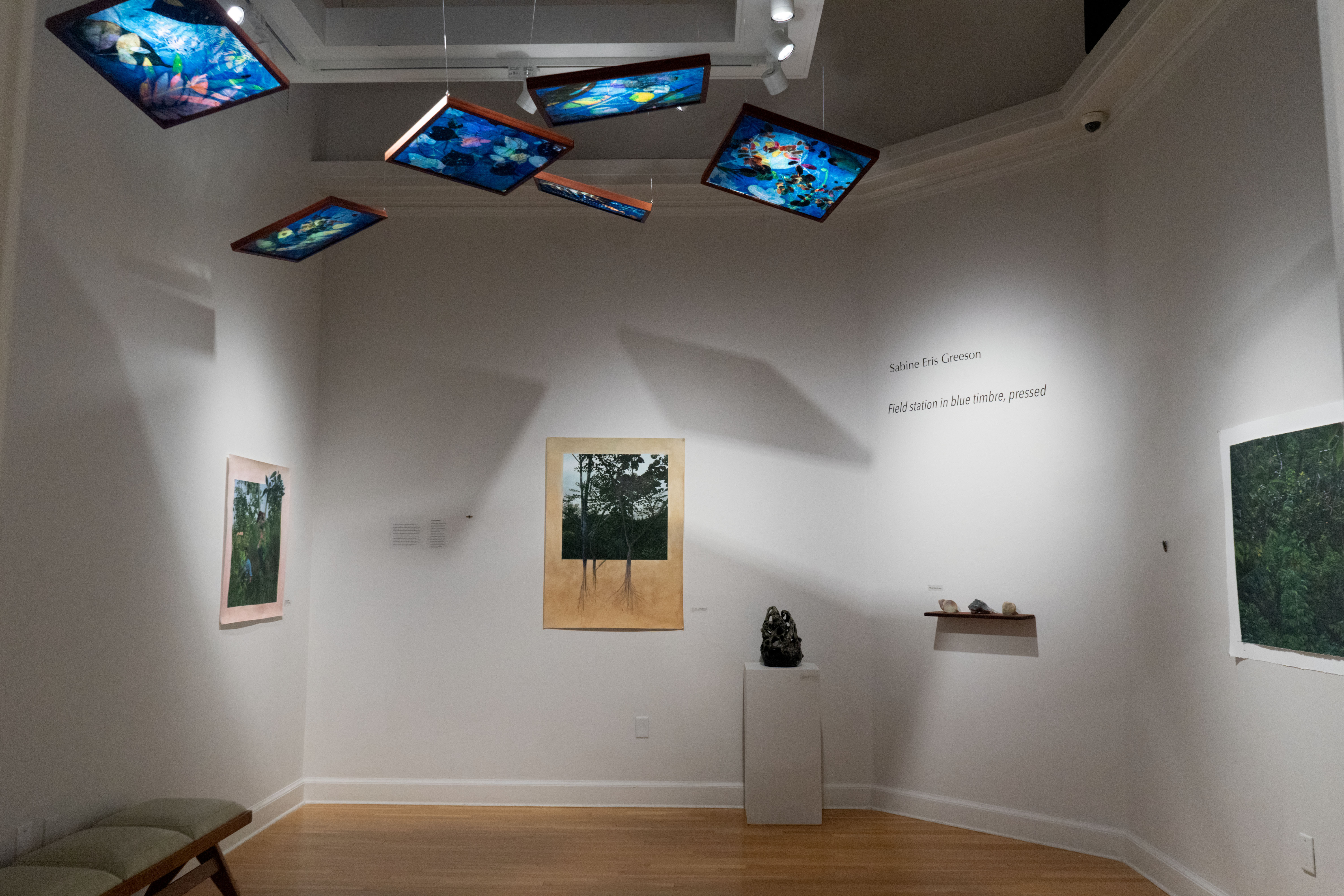 Interior view of a contemporary art gallery featuring nature-inspired works displayed on white walls. Several illuminated blue-toned artworks hang suspended from the ceiling, casting shadows across the room, while framed pieces and small sculptures are arranged below on walls and pedestals.