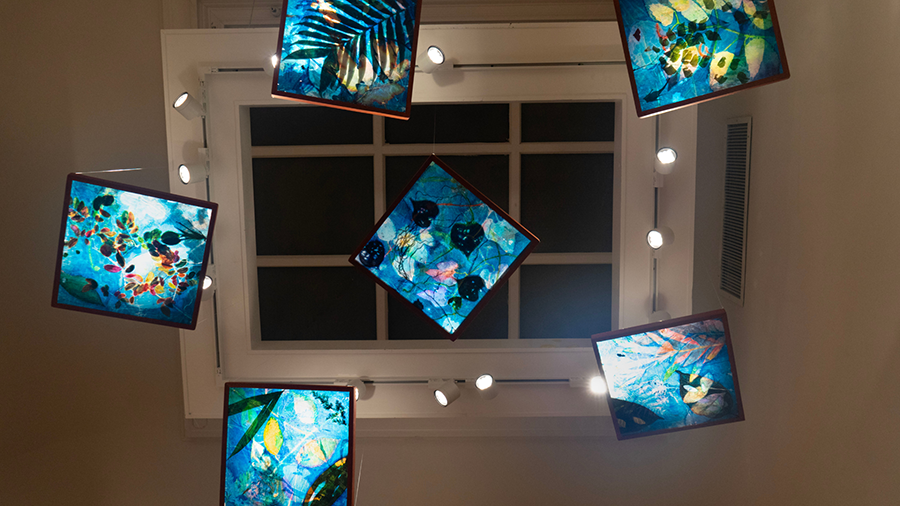 Interior view of a contemporary art gallery featuring nature-inspired works displayed on white walls. Several illuminated blue-toned artworks hang suspended from the ceiling, casting shadows across the room.