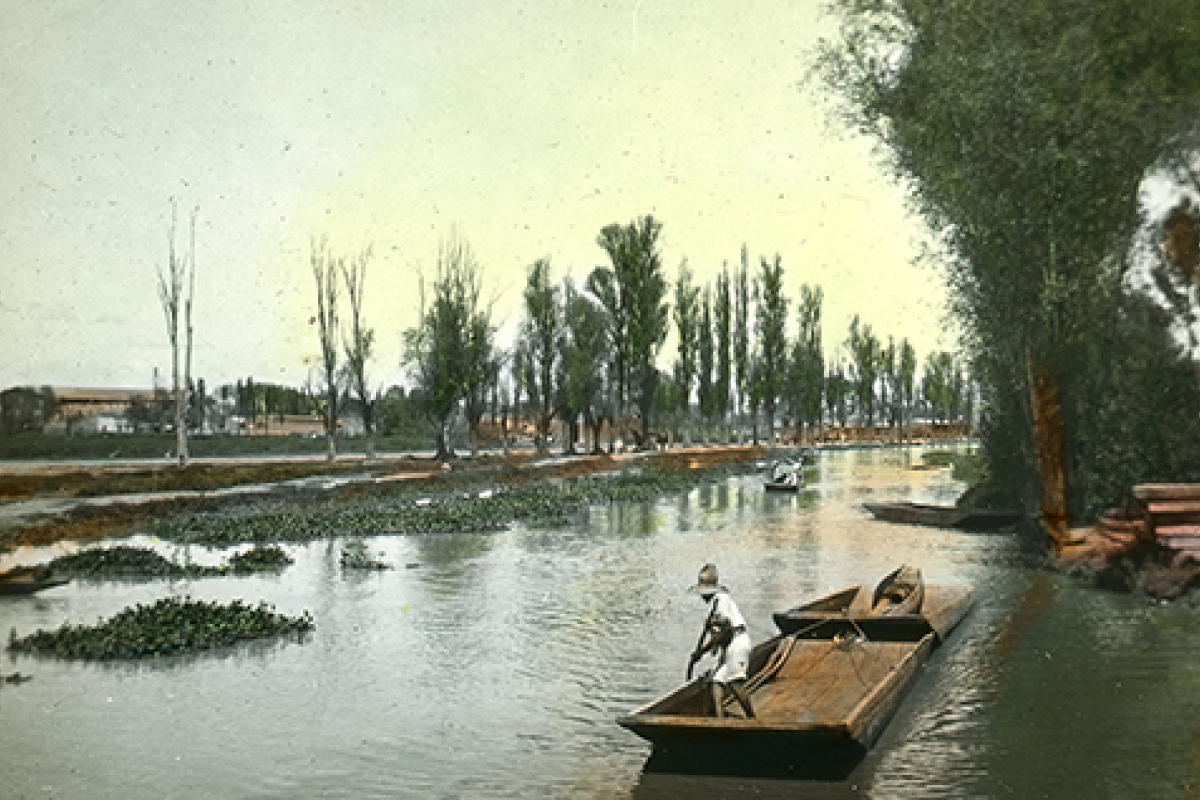 LAL SPECIAL COLLECTIONS-4