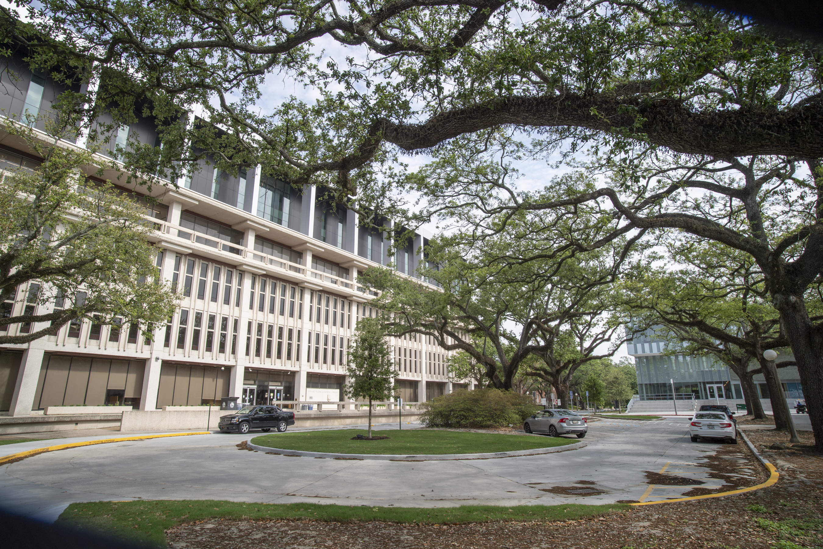 The entrance to Howard Tilton Memorial Library is to the left of a roundabout. Oak trees are on the neutral ground. A ramp leads up to the entrance to the library.