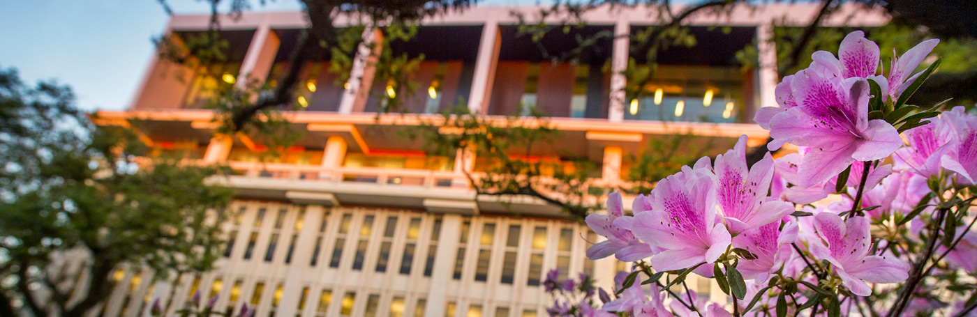 Azaleas outside of Howard-Tilton Memorial Library