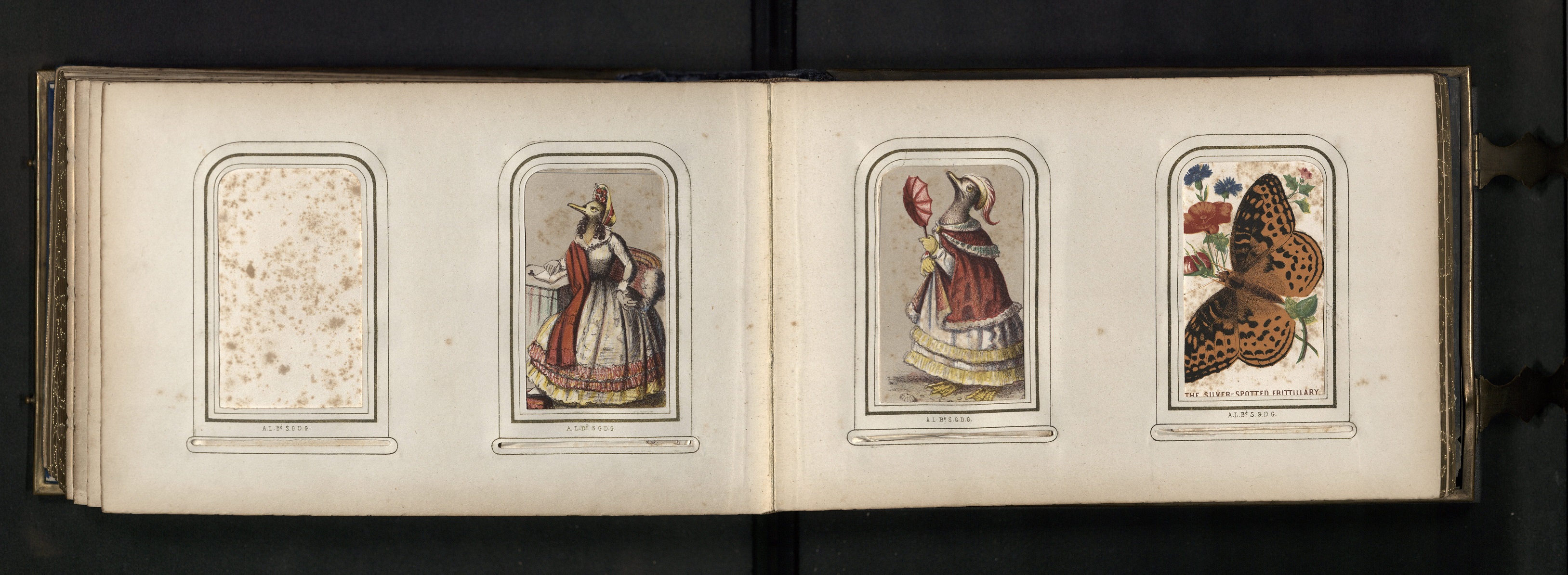 Page  from Sophie Newcomb's photoalbum 
