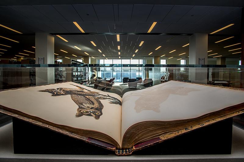 Audubon Bird Book