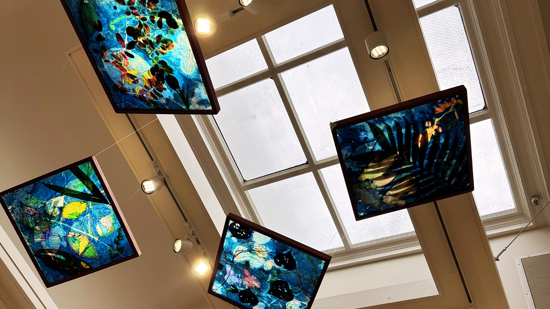 Cyanotypes made from 34 native Chocó plant specimens are printed on tissue paper, hanging from the ceiling in art gallery