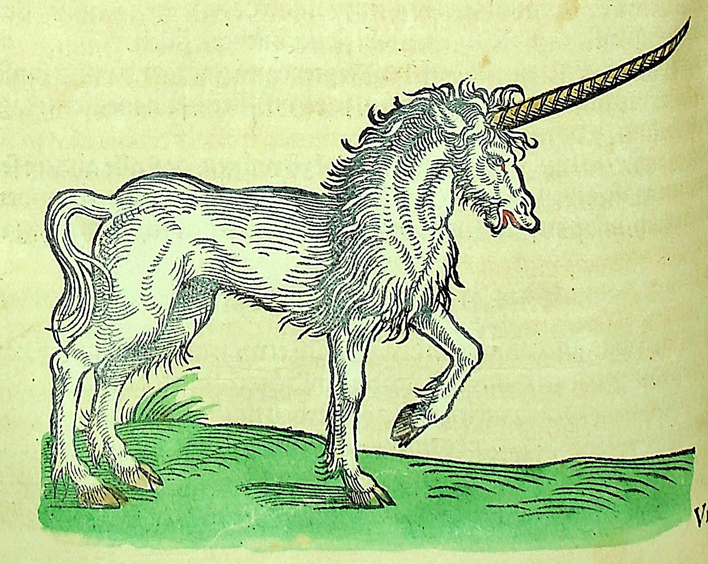 Illustration of a unicorn in white and green from a medieval book
